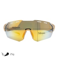 CROSS GLD-R GLD/SLV die Sportsonnenbrille golden/silber