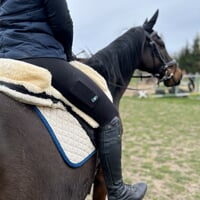 DAKOTA LADY women's riding leggings black